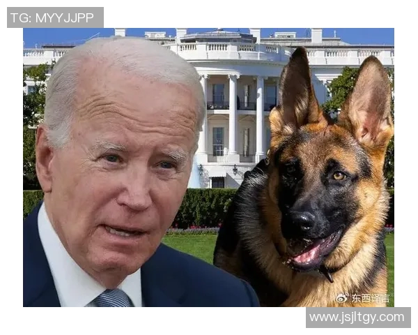 足球明星们的爱犬大揭秘：你不知道的明星与狗狗的温馨故事